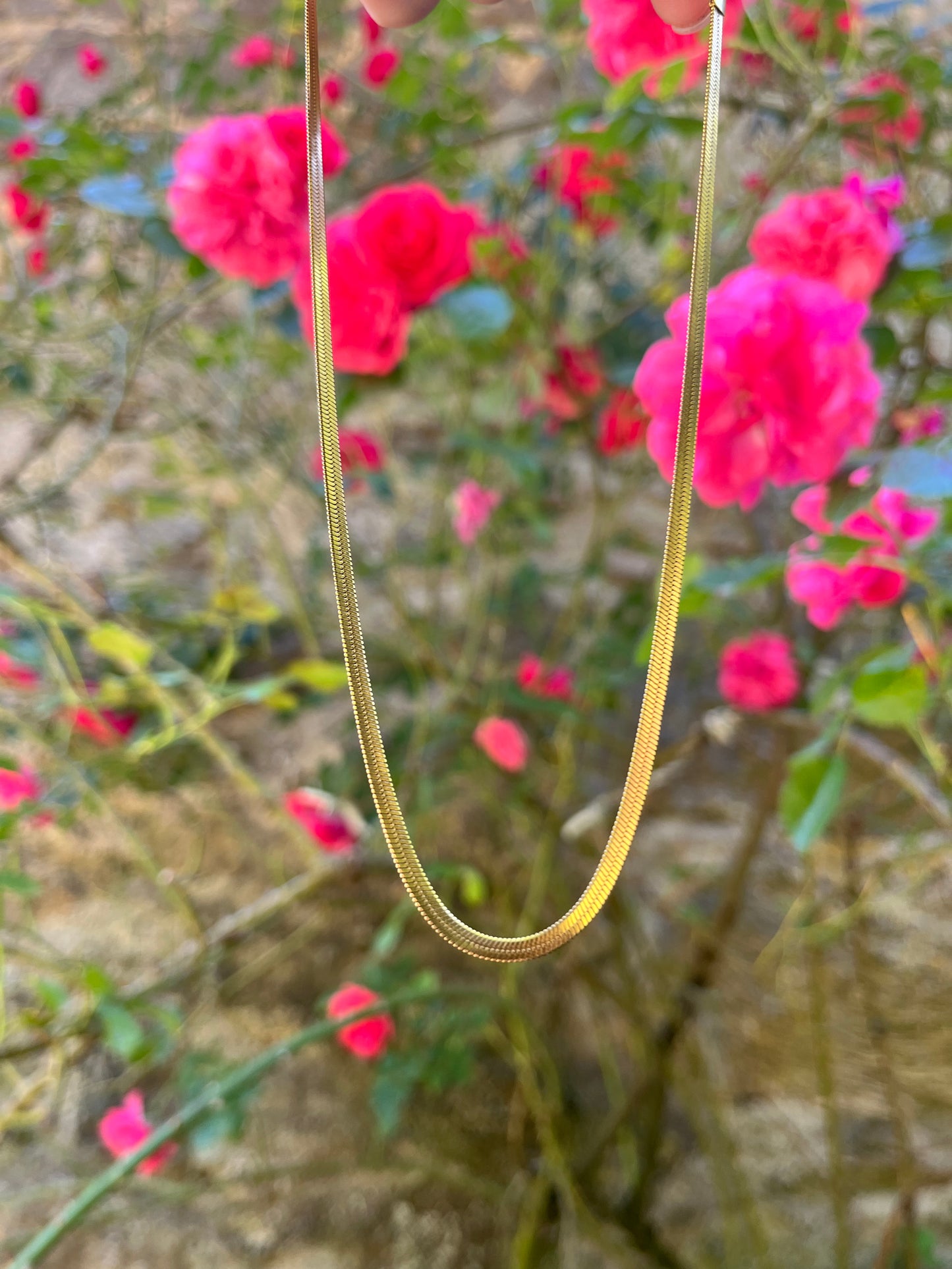 Collier Olbía