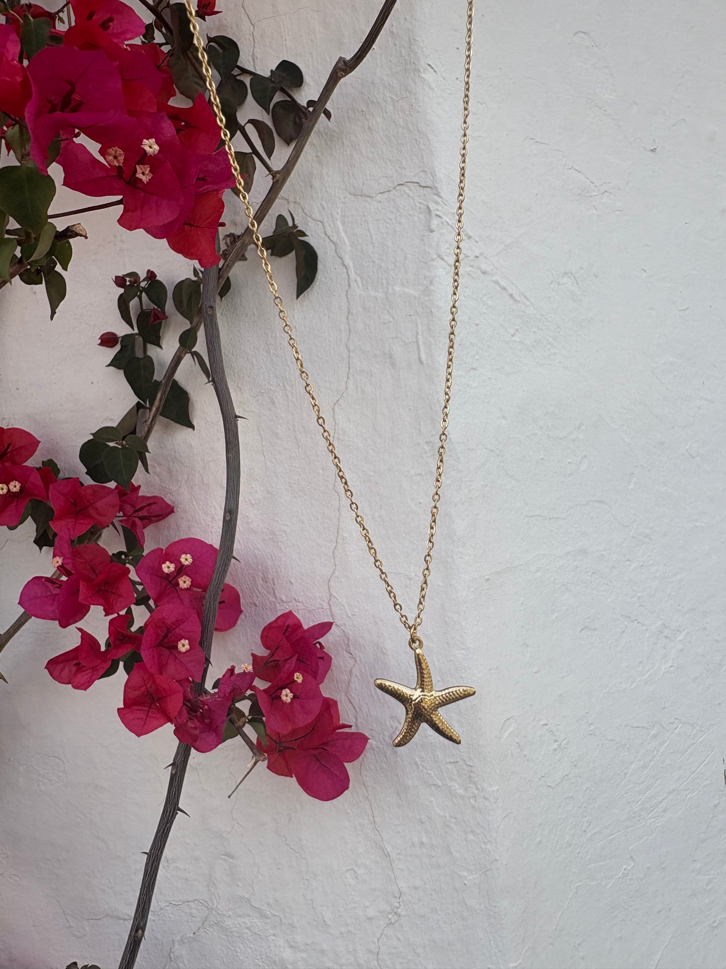 Collier Aliaor